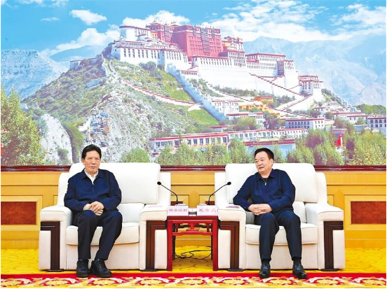 王君正與洛桑江村一行座談