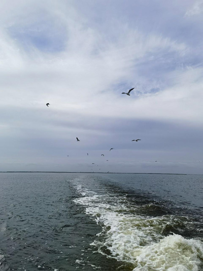 守護(hù)好烏梁素海這顆&ldquo;塞外明珠&rdquo;