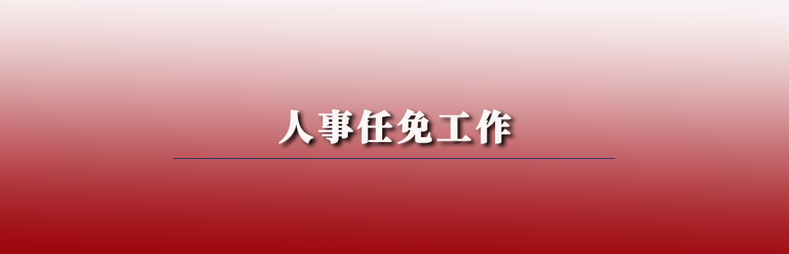 人事任免系統(tǒng)