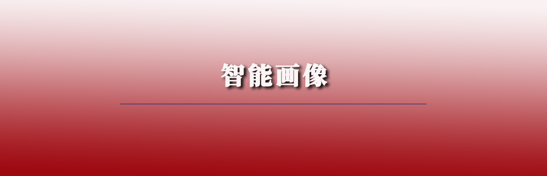 智能畫像系統(tǒng)