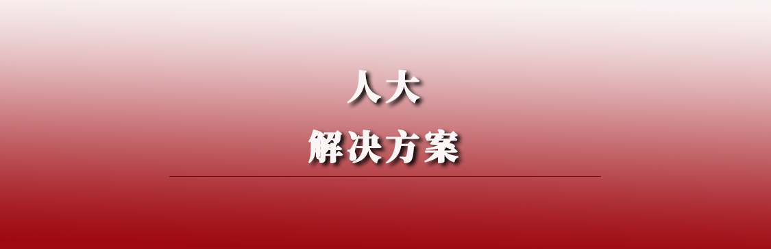 數(shù)字人大解決方案
