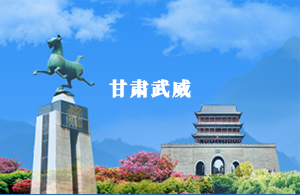 武威市智慧人大平臺(tái)