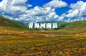 河南縣人大代表履職系統(tǒng)