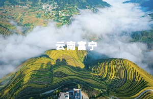 富寧縣數(shù)字人大一體化平臺(tái)